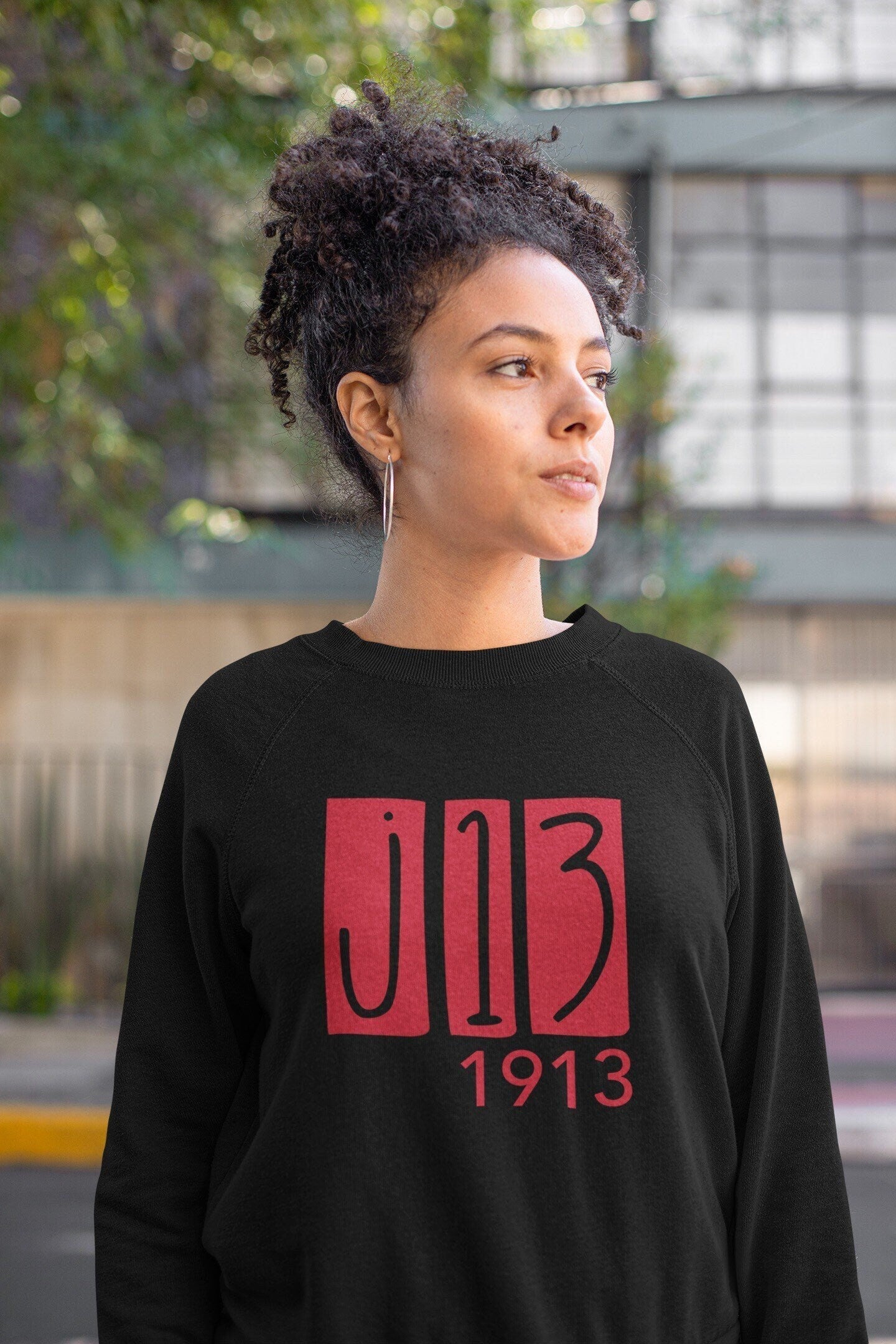 Delta Sigma Theta Sweatshirt & Hoodie - J13 v2 - Black - 550strong