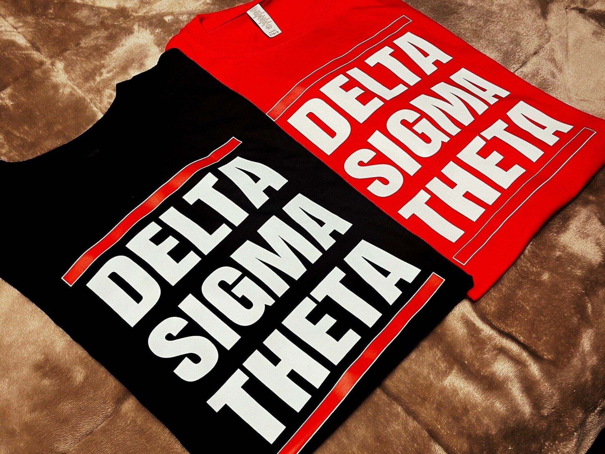 Delta Sigma Theta Tshirts - Two Shirt Bundle - DST2