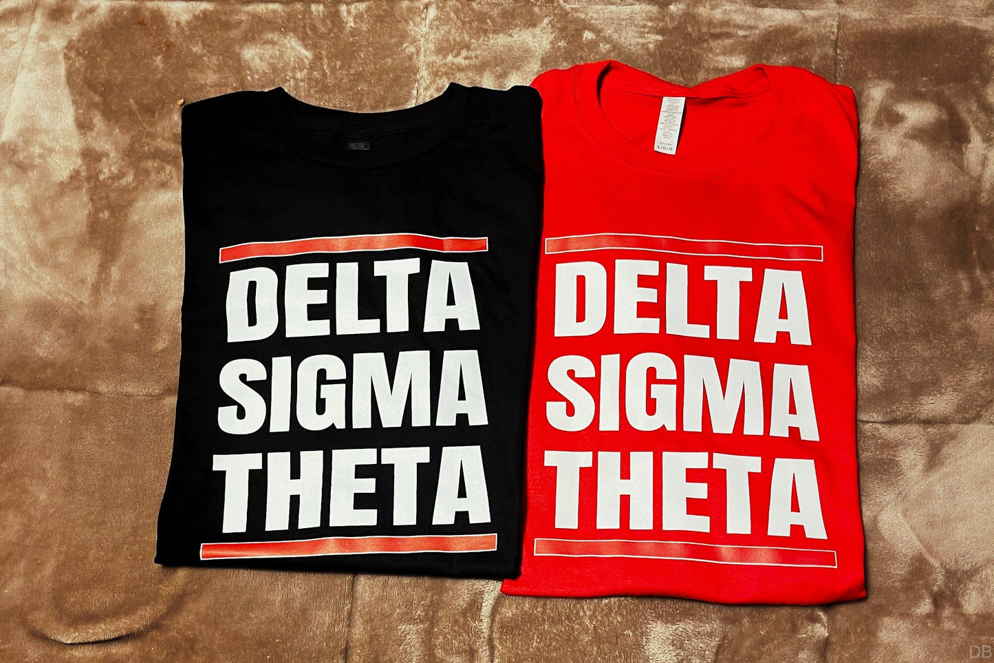 Delta Sigma Theta Tshirts - Two Shirt Bundle - DST2