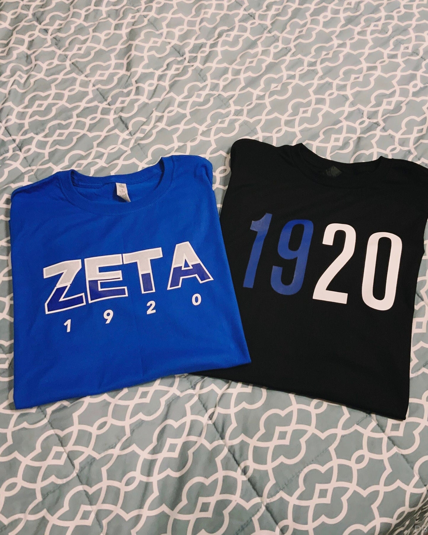 Zeta Phi Beta Shirt Bundle / ZPhiB01 / Zeta Phi Beta Paraphernalia / 2 Shirts - 550strong