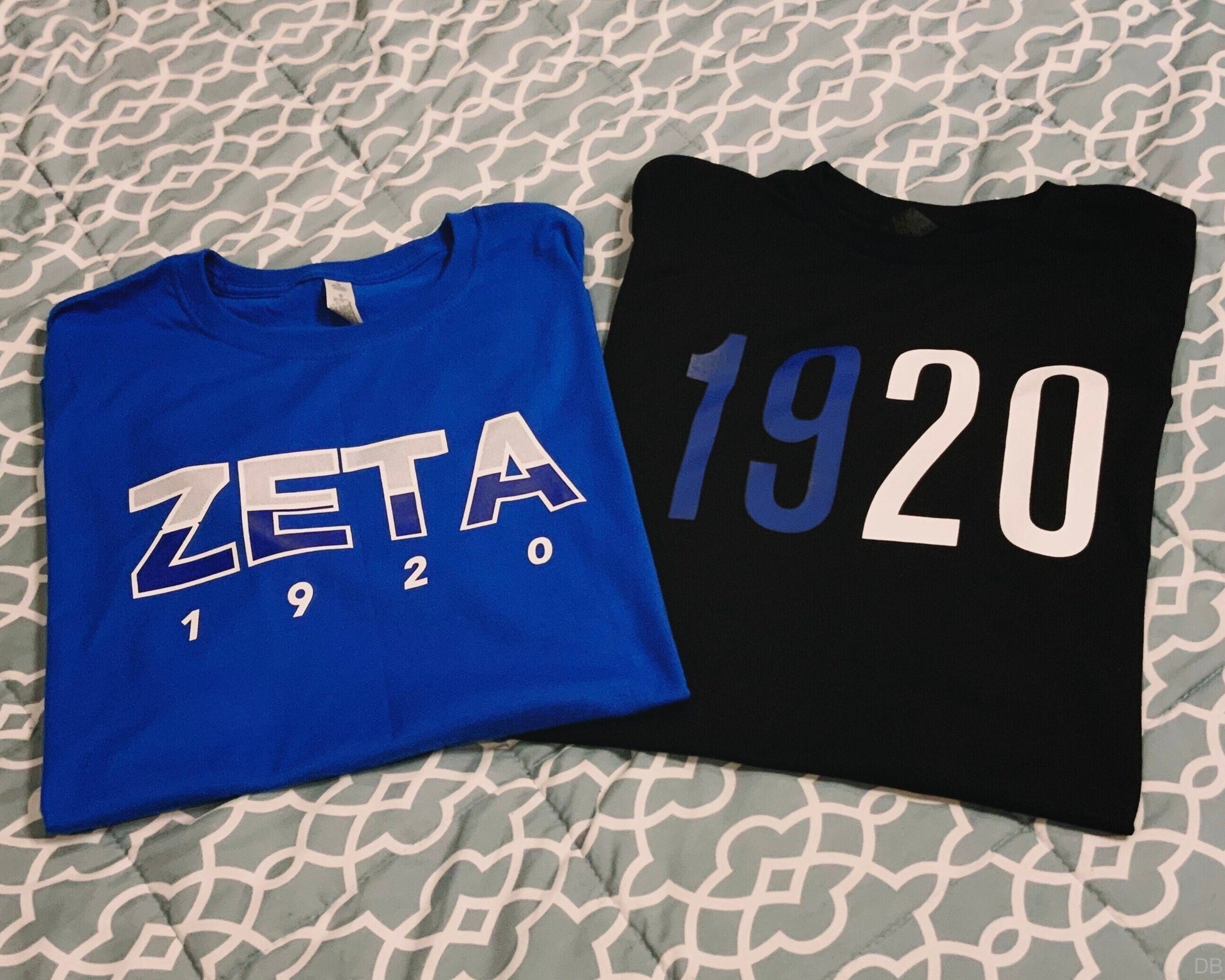 Zeta Phi Beta Shirt Bundle / ZPhiB01 / Zeta Phi Beta Paraphernalia / 2 Shirts - 550strong
